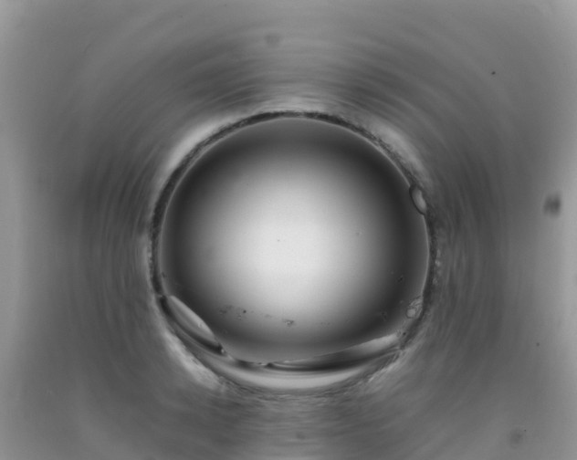X0000092070942200709191200