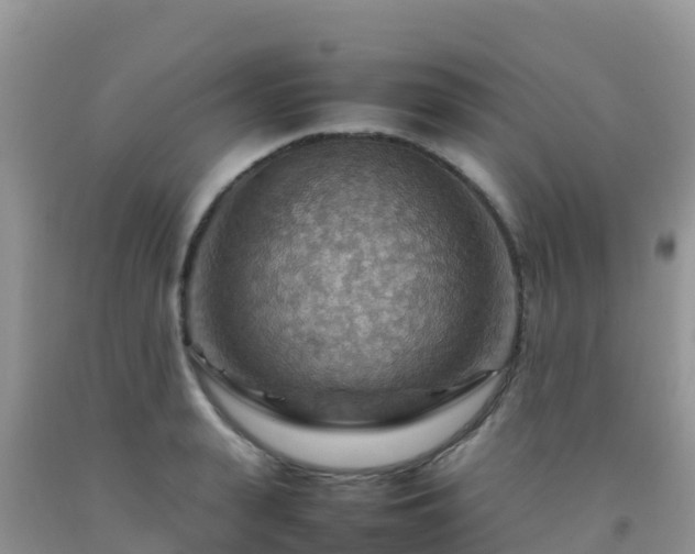X0000092070943200709191200