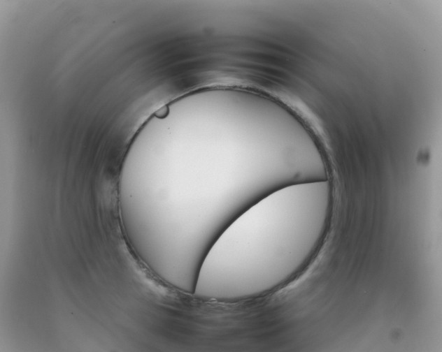 X0000092070945200709191200