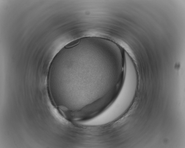 X0000092070946200709191200