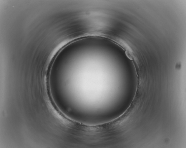 X0000092070947200709191200