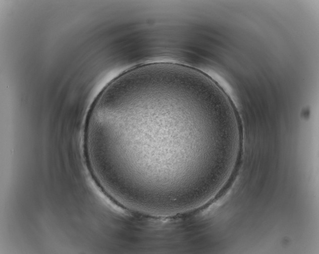 X0000092070949200709191200