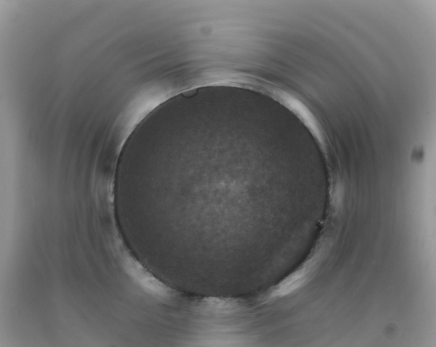 X0000092070954200709191201