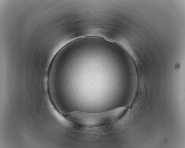 X0000092070955200709191201