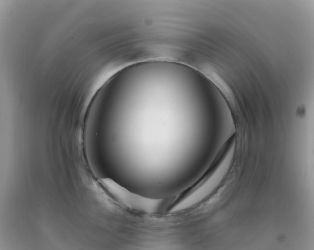 X0000092070956200709191201