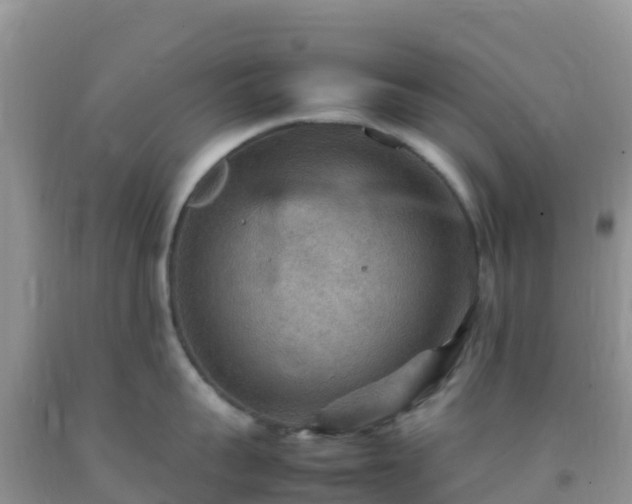 X0000092070959200709191201