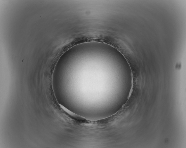 X0000092070961200709191200