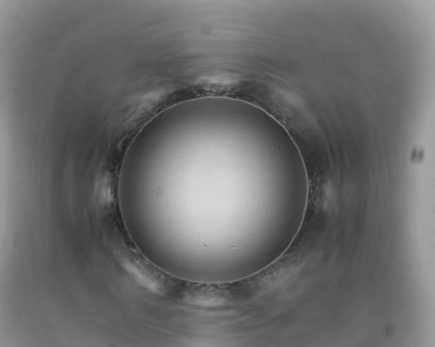 X0000092070962200709191200