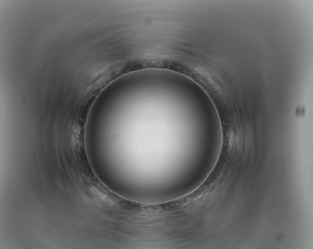 X0000092070964200709191200