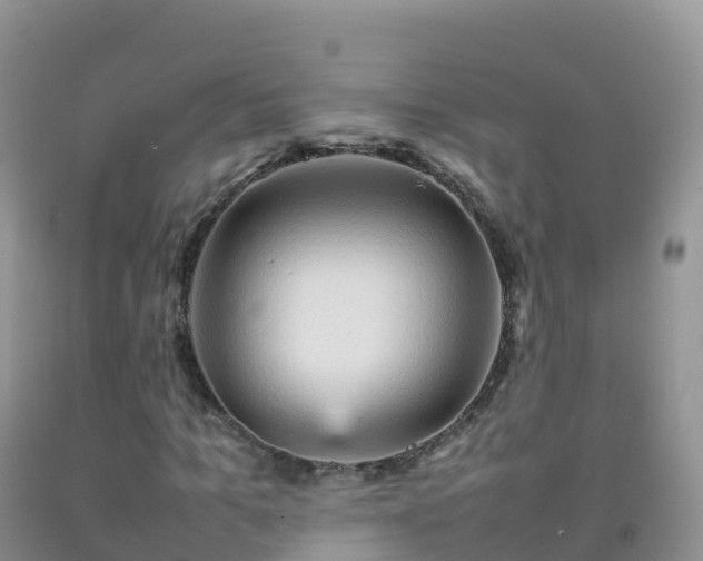 X0000092070965200709191200