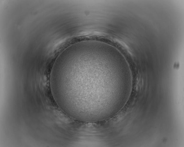 X0000092070966200709191200