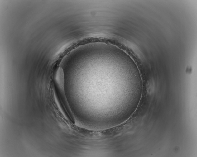 X0000092070968200709191200