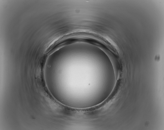 X0000092070969200709191200