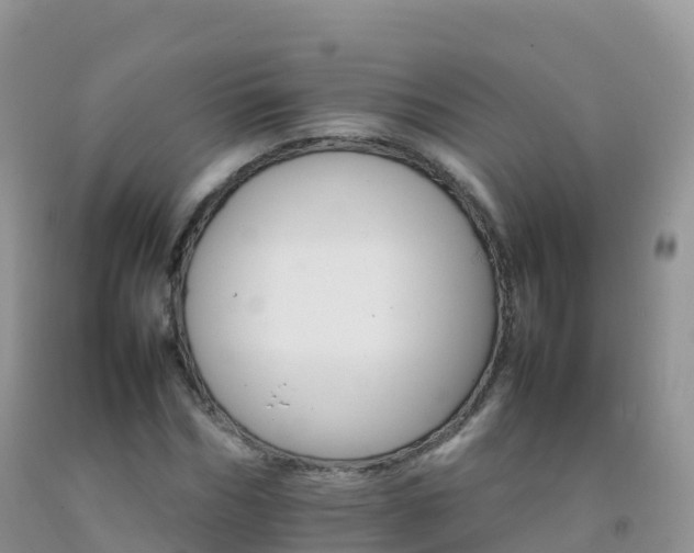 X0000092070970200709191200