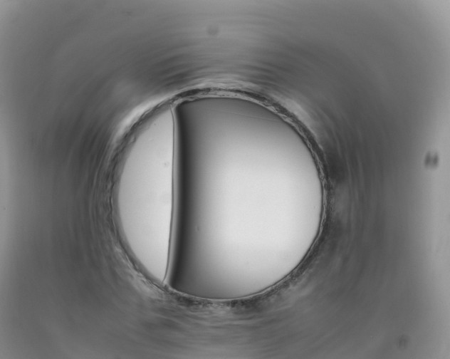 X0000092070971200709191200