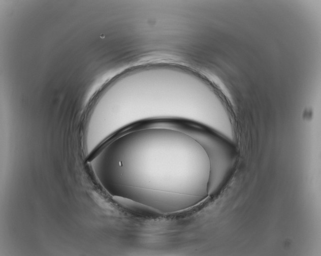X0000092070973200709191200