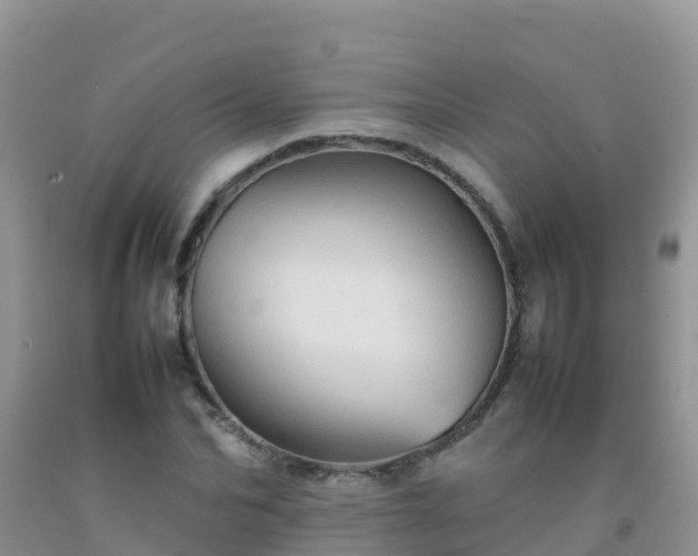 X0000092070974200709191200