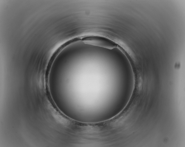 X0000092070980200709191200