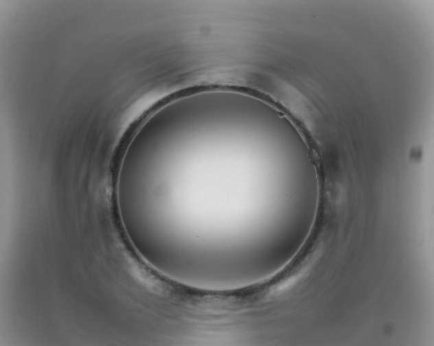 X0000092070981200709191200