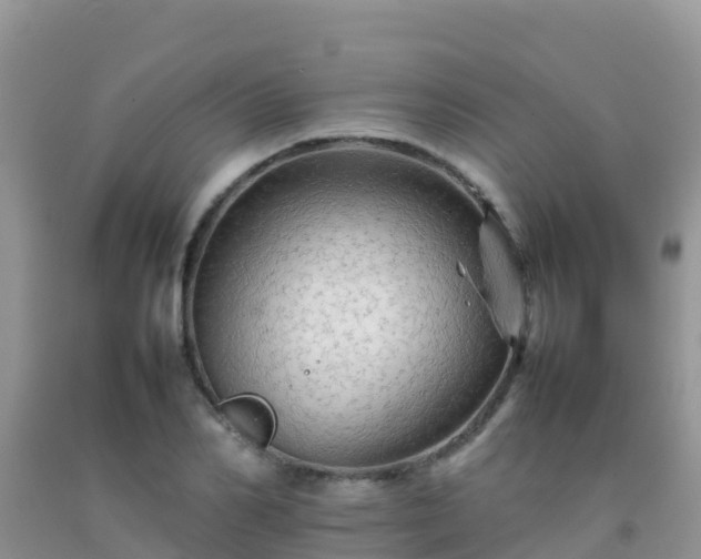 X0000092070982200709191200