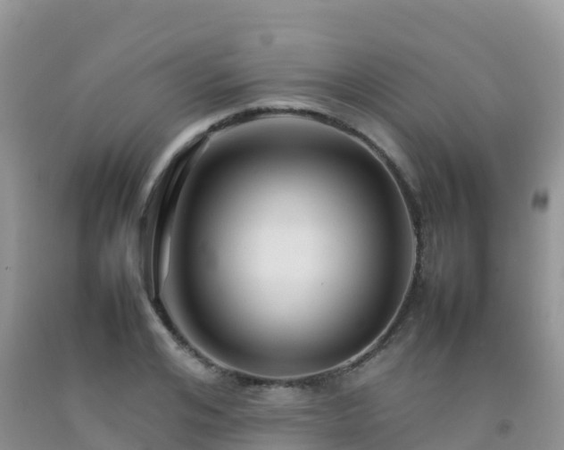 X0000092070984200709191200