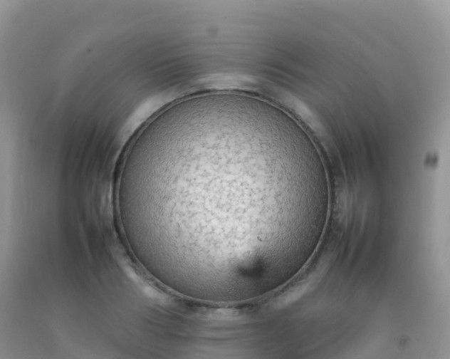 X0000092070986200709191200