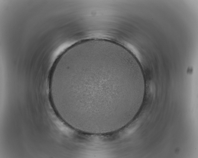 X0000092070987200709191200