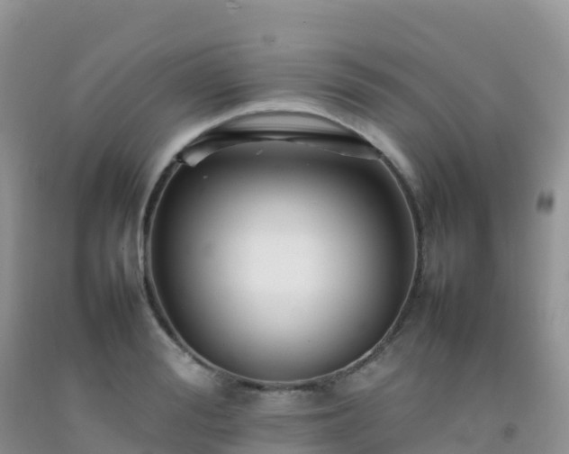 X0000092070988200709191200