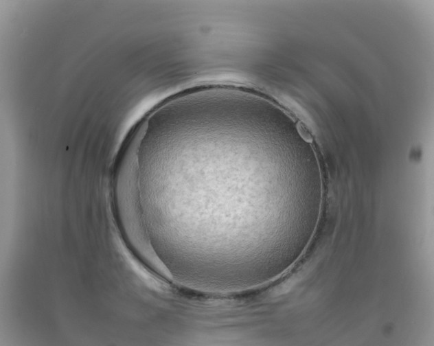 X0000092070989200709191159