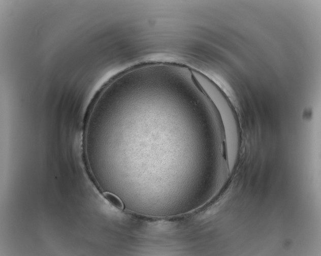 X0000092070992200709191159