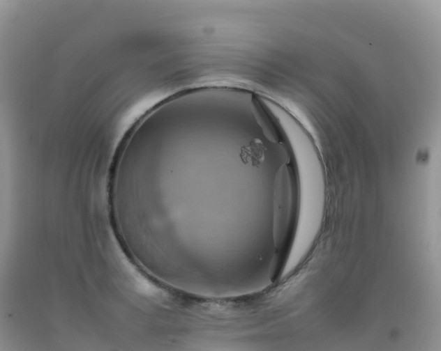 X0000092070995200709191159