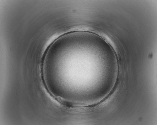 X0000092070997200709191159