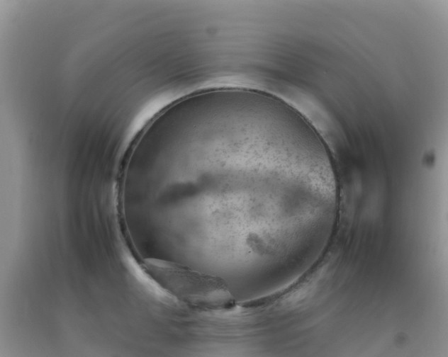 X0000092070998200709191159