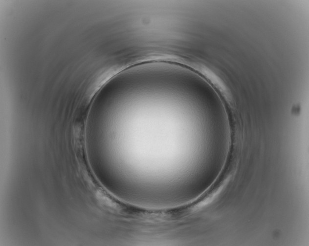 X0000092071001200709191159