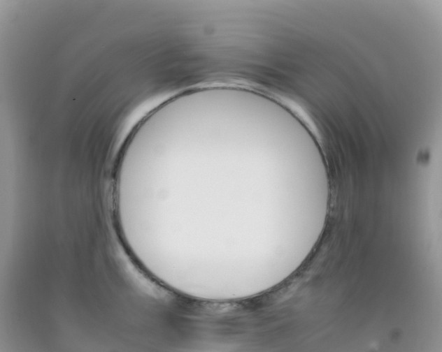 X0000092071003200709191159