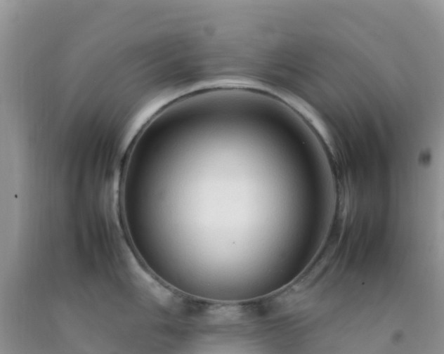 X0000092071006200709191159