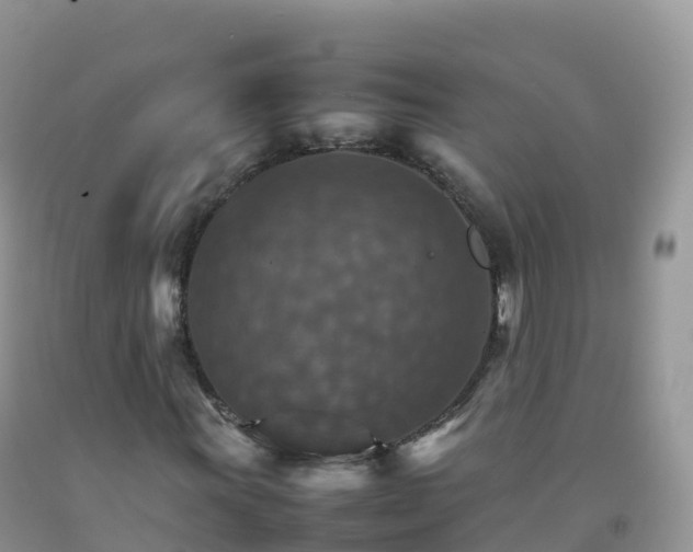 X0000092071011200709191159