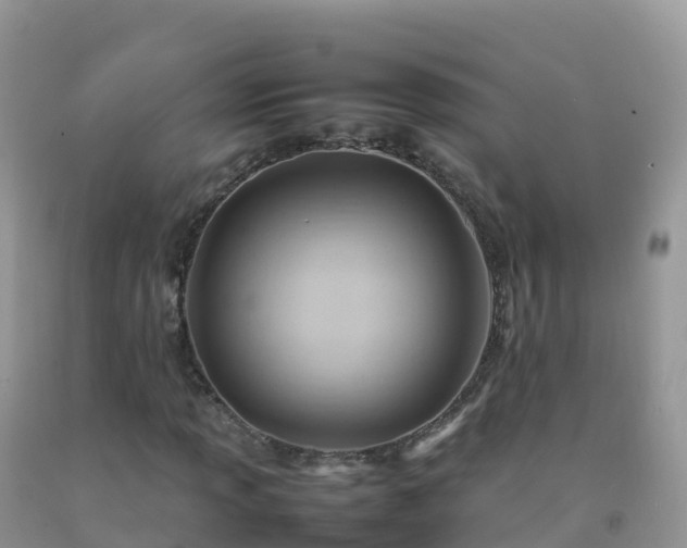 X0000092071013200709191159
