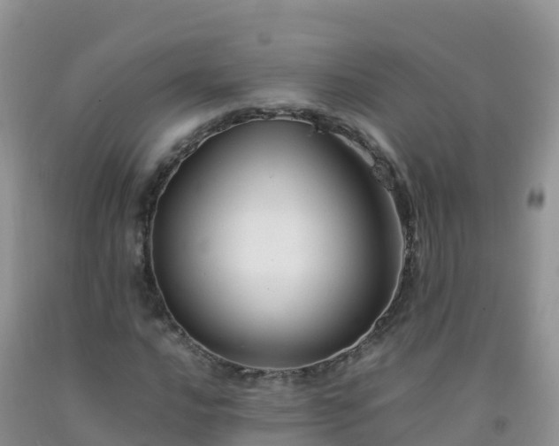 X0000092071016200709191159
