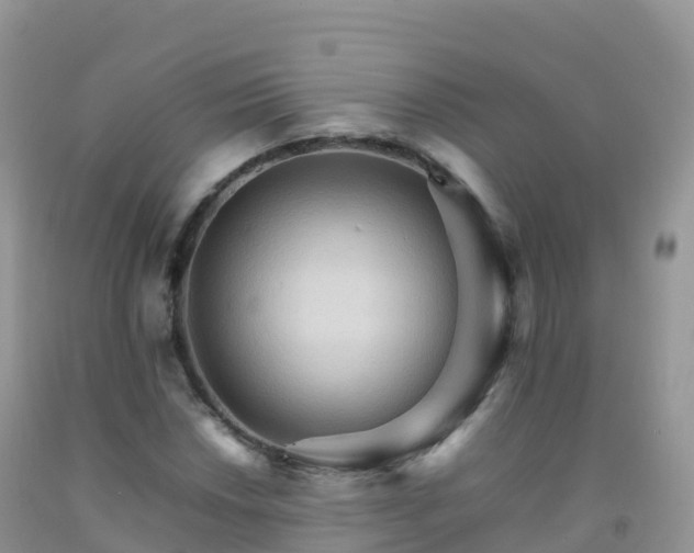 X0000092071018200709191159