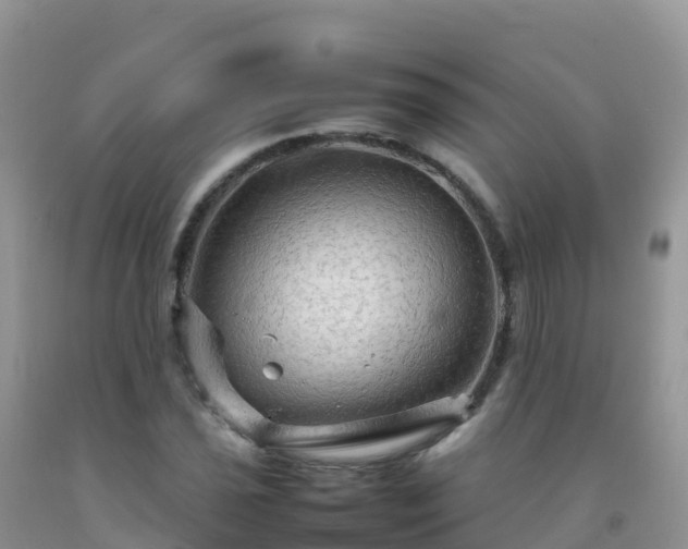 X0000092071021200709191159
