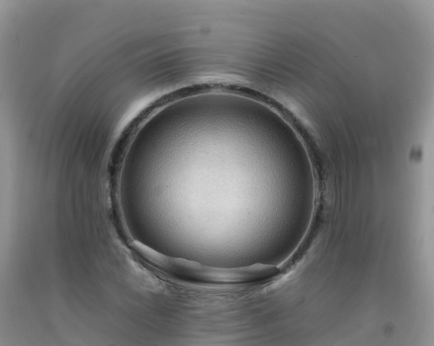 X0000092071022200709191159