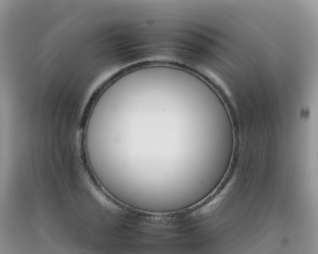 X0000092071029200709191159