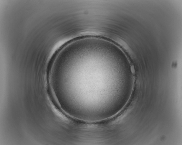 X0000092071030200709191159
