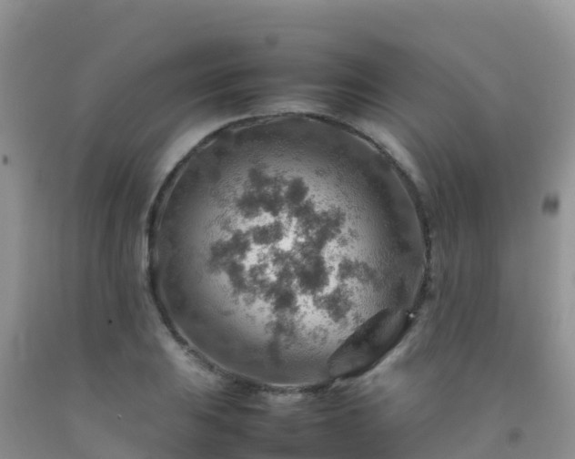 X0000092071031200709191159