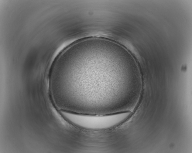 X0000092071032200709191159