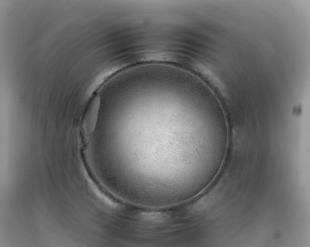 X0000092071033200709191159