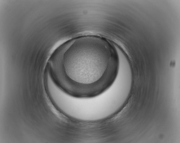 X0000092071034200709191159