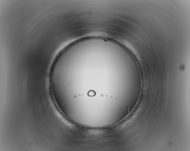 X0000092071037200709191159
