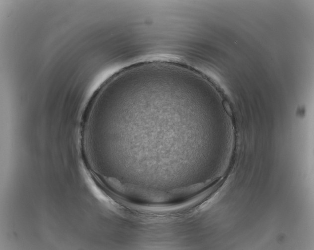X0000092071038200709191159